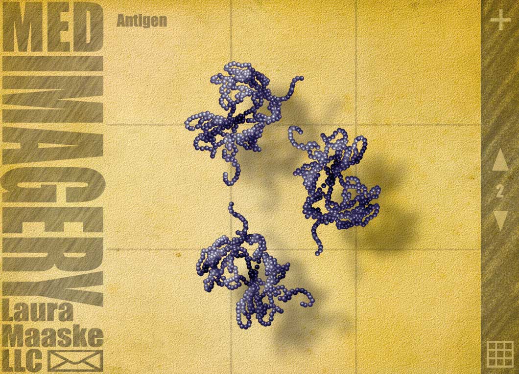 antigen