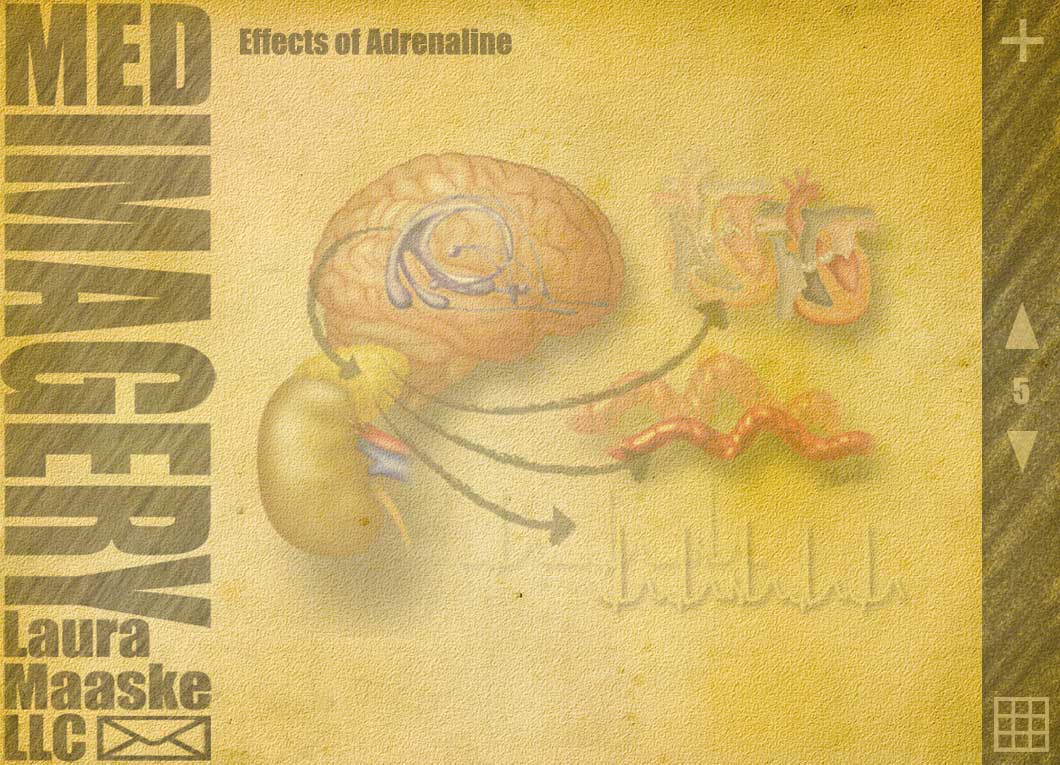 Adrenaline