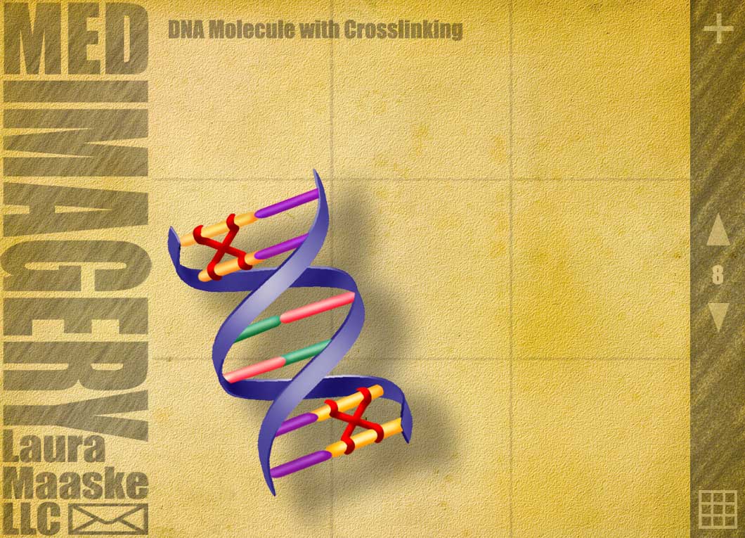 DNA